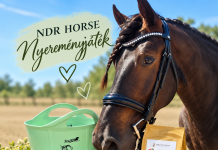 Folytatódik a kihívás: a héten prémium nyereménycsomag vár a Vidékjáró Lovasokra!