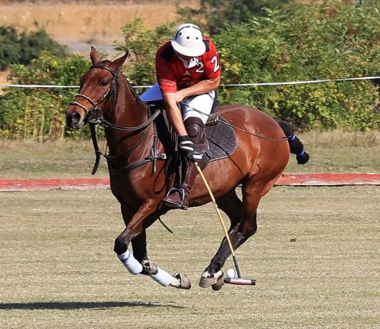 MAGYAR PÓLÓ SPORT MÚLTJA ÉS JELENE